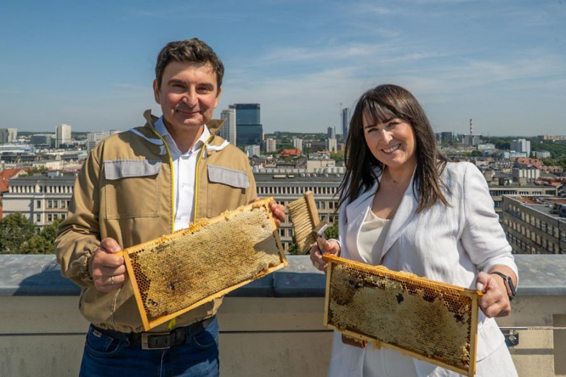 zdjęcie wyróżniające Pszczoły Karolinka produkują miód w sercu Katowic